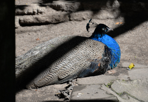 World of Birds Wildlife Sanctuary.